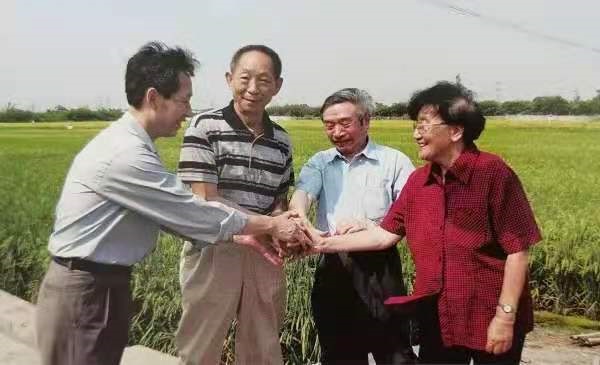 betway88西汉姆联