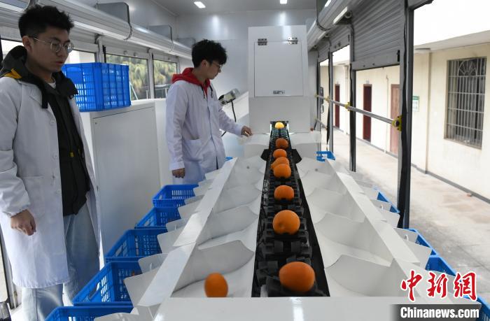 betway88西汉姆联