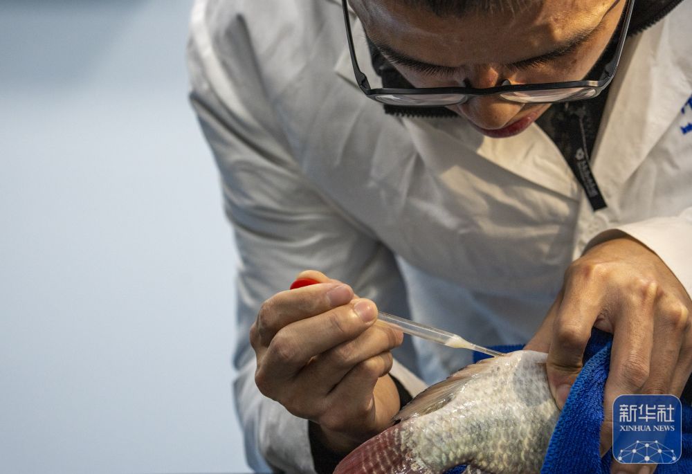 betway88西汉姆联