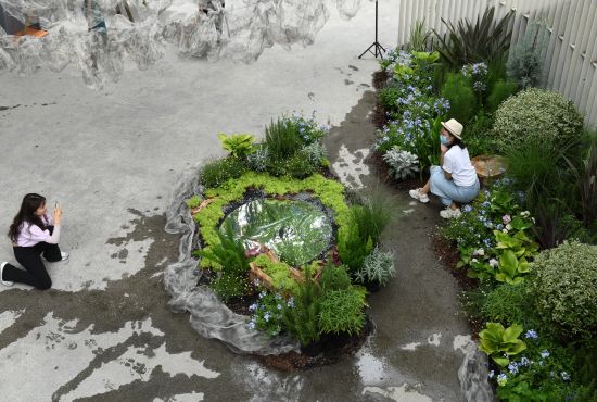 betway88西汉姆联