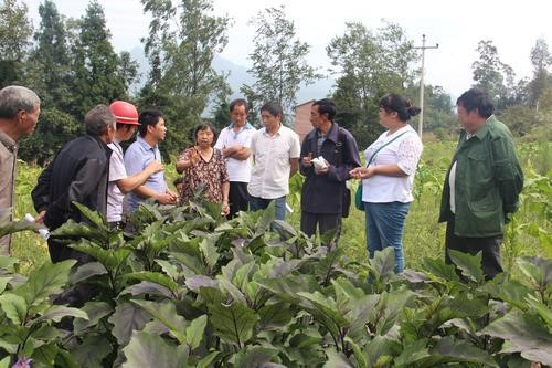 betway88西汉姆联