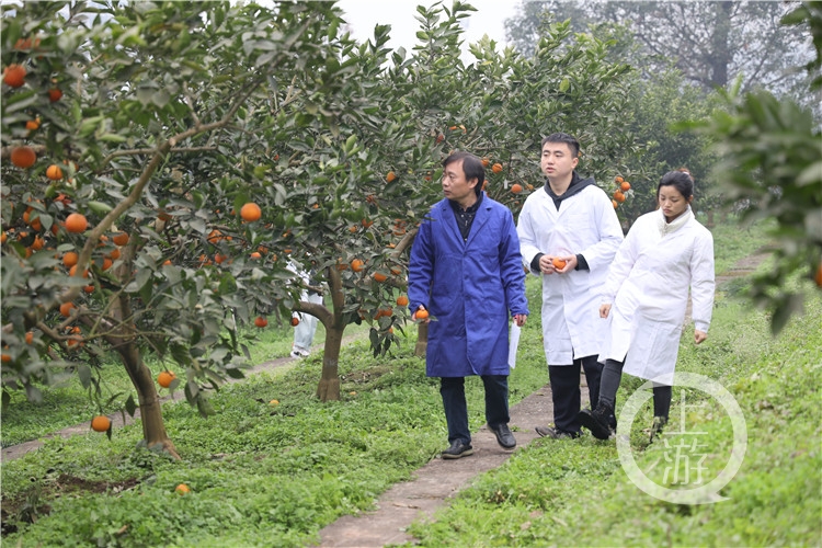 betway88西汉姆联