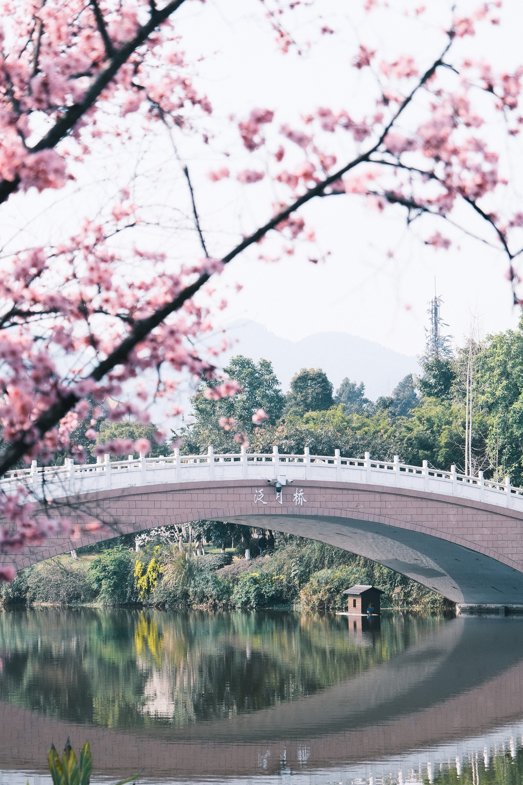 betway88西汉姆联