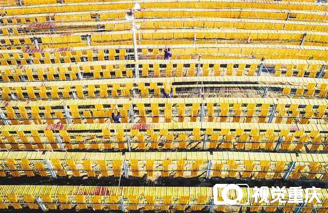 betway88西汉姆联