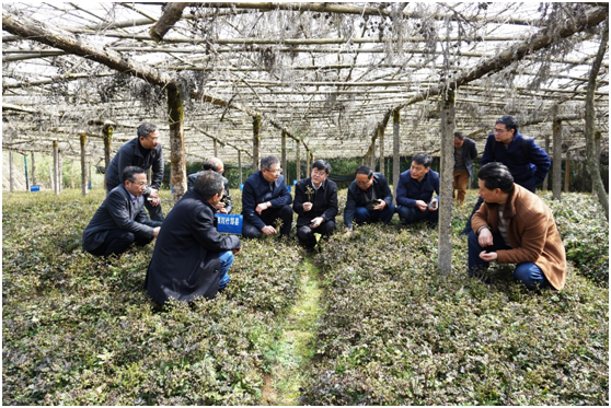 betway88西汉姆联