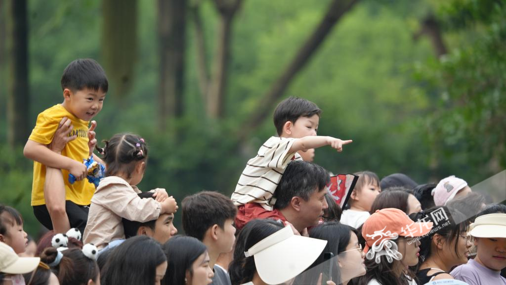 重庆动物园，小朋友们“骑马马”看熊猫。华龙网记者 陈毅 摄
