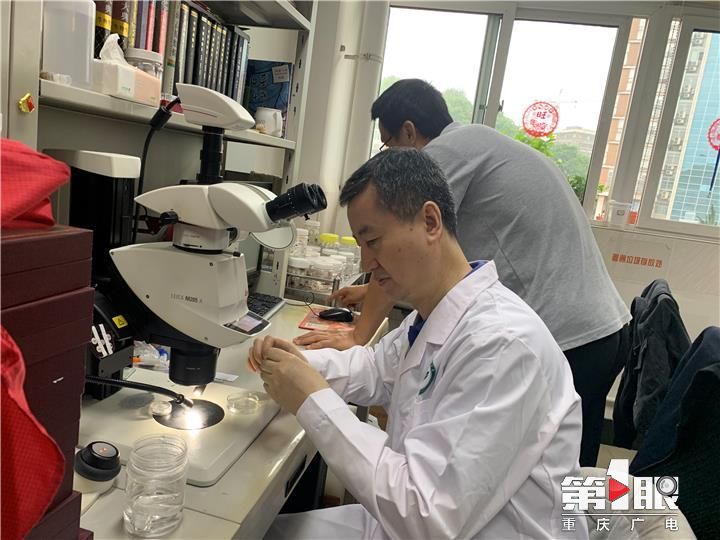 betway88西汉姆联