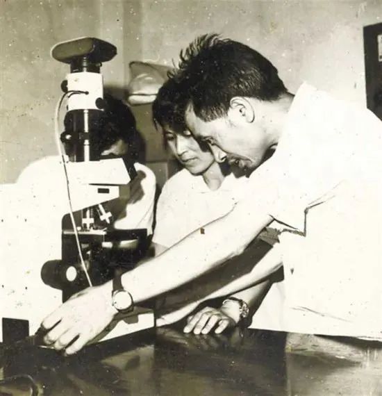 betway88西汉姆联