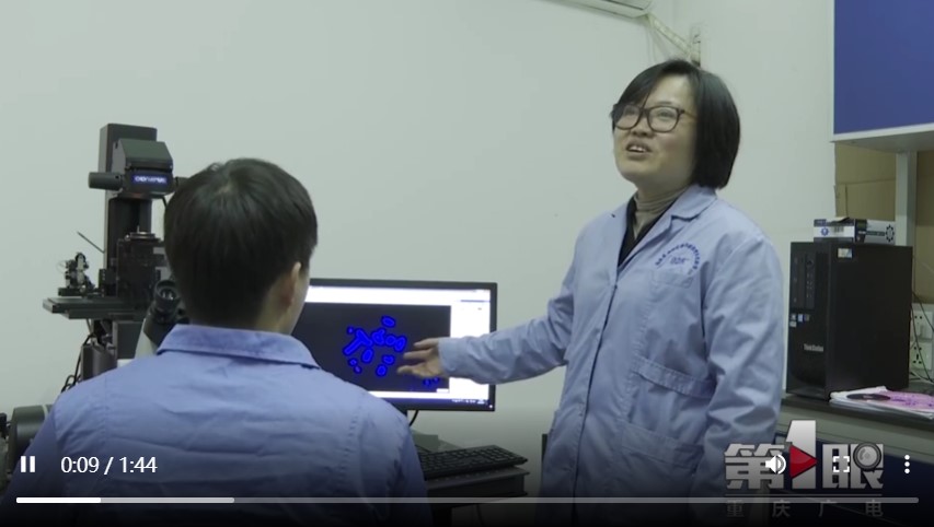 betway88西汉姆联