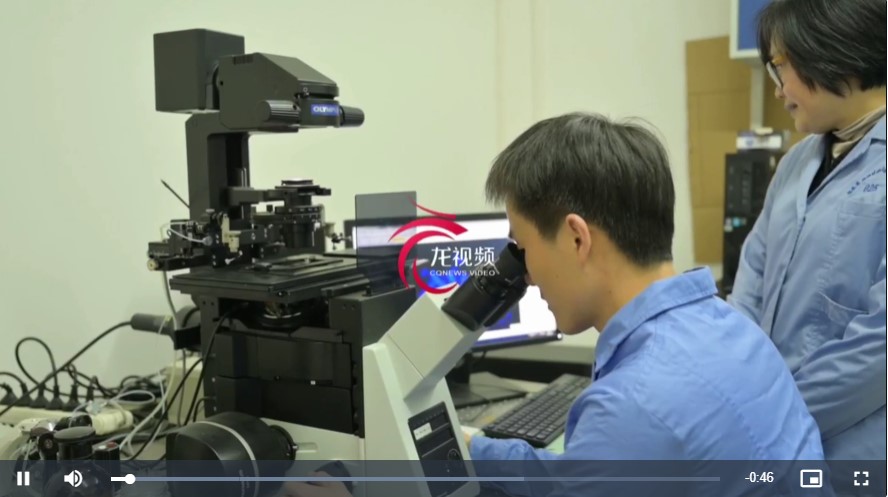 betway88西汉姆联