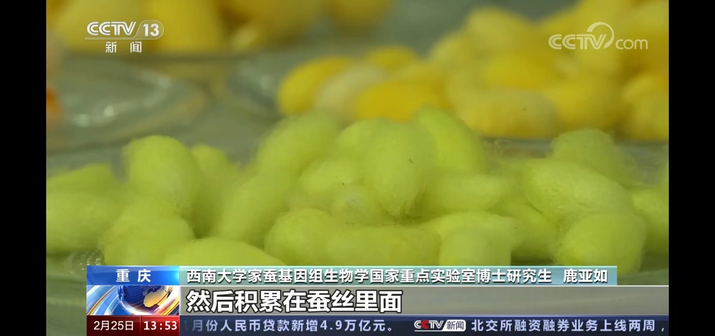 betway88西汉姆联