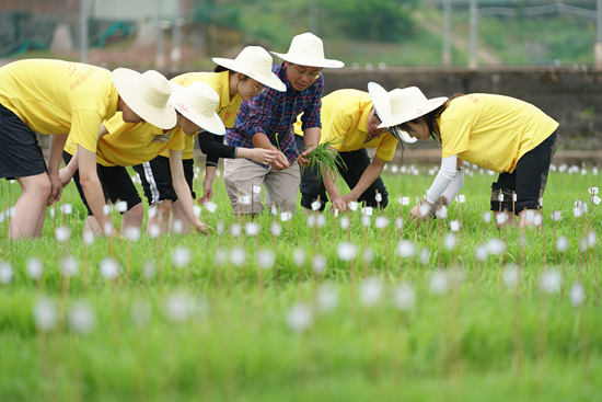 betway88西汉姆联