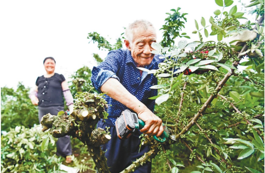 betway88西汉姆联