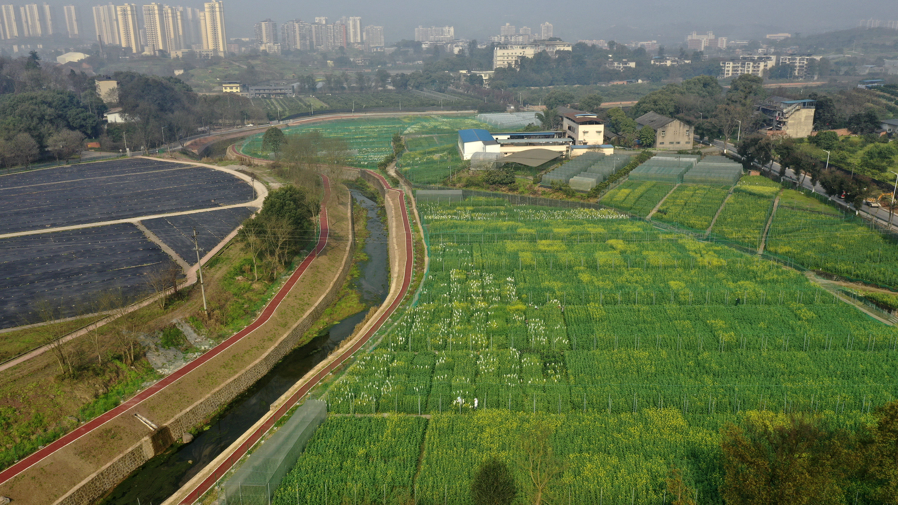 betway88西汉姆联