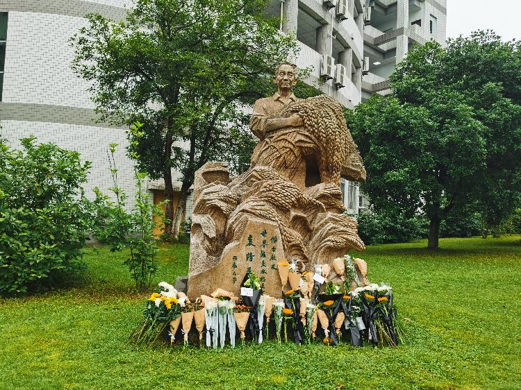 betway88西汉姆联