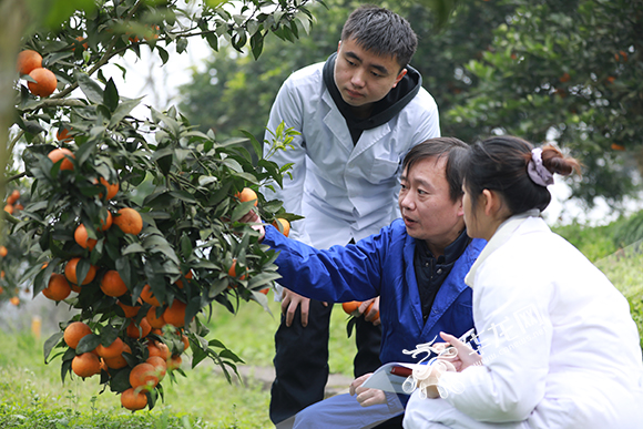 betway88西汉姆联