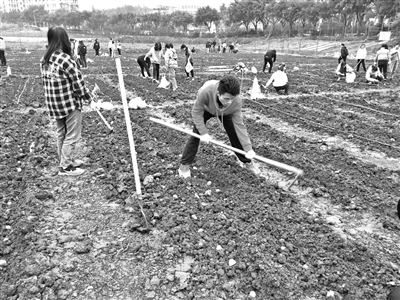 P020201214312814548481.jpg betway88西汉姆联