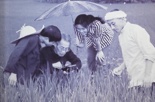 betway88西汉姆联