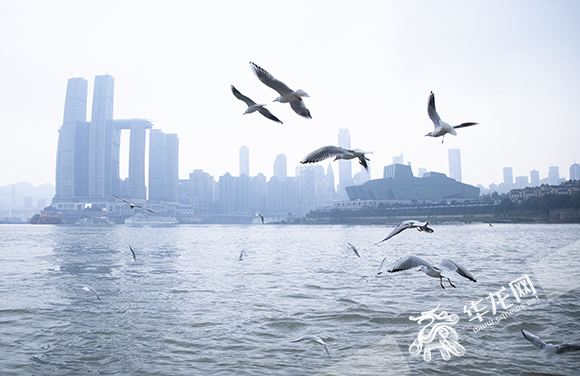 betway88西汉姆联