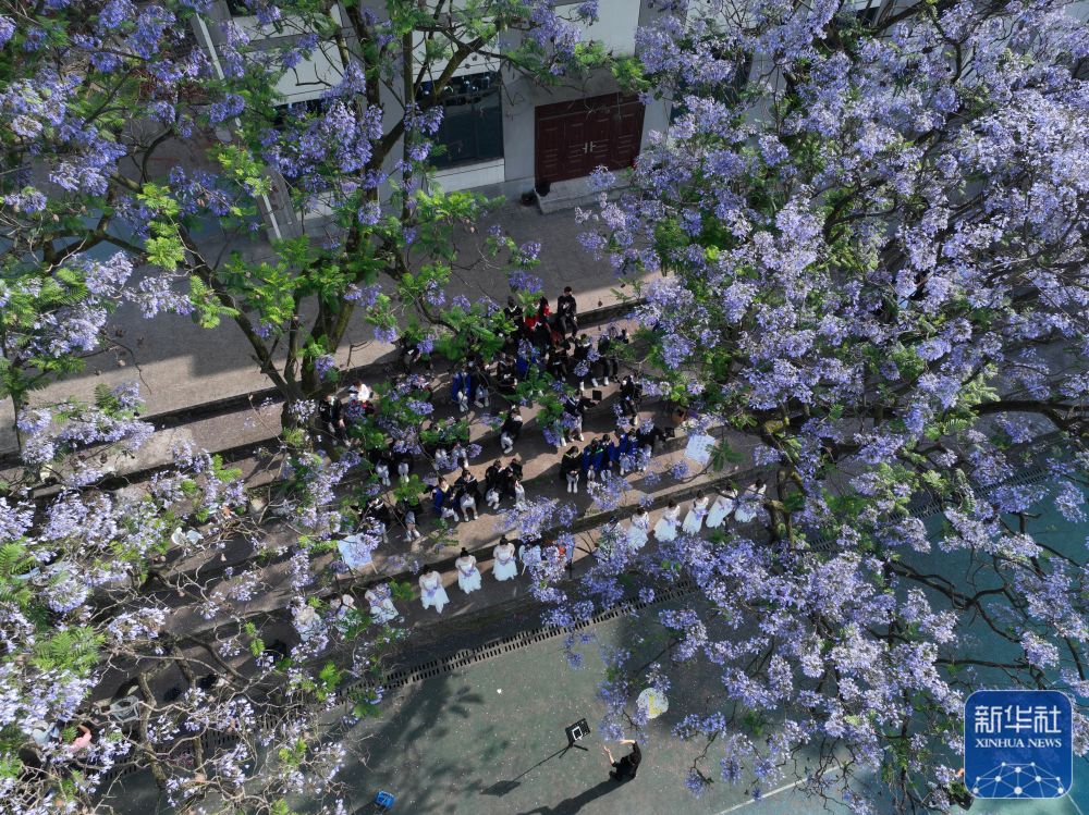 betway88西汉姆联