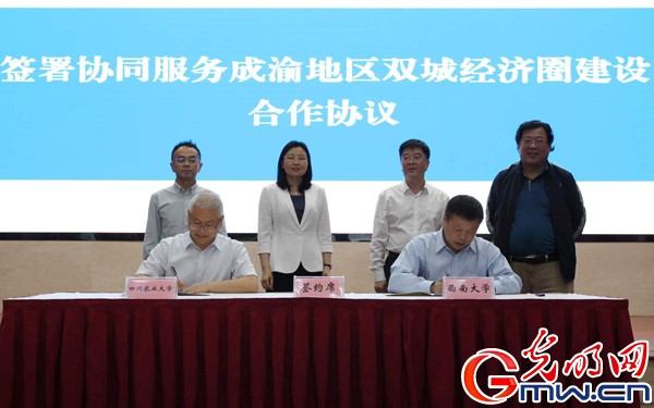 betway88西汉姆联