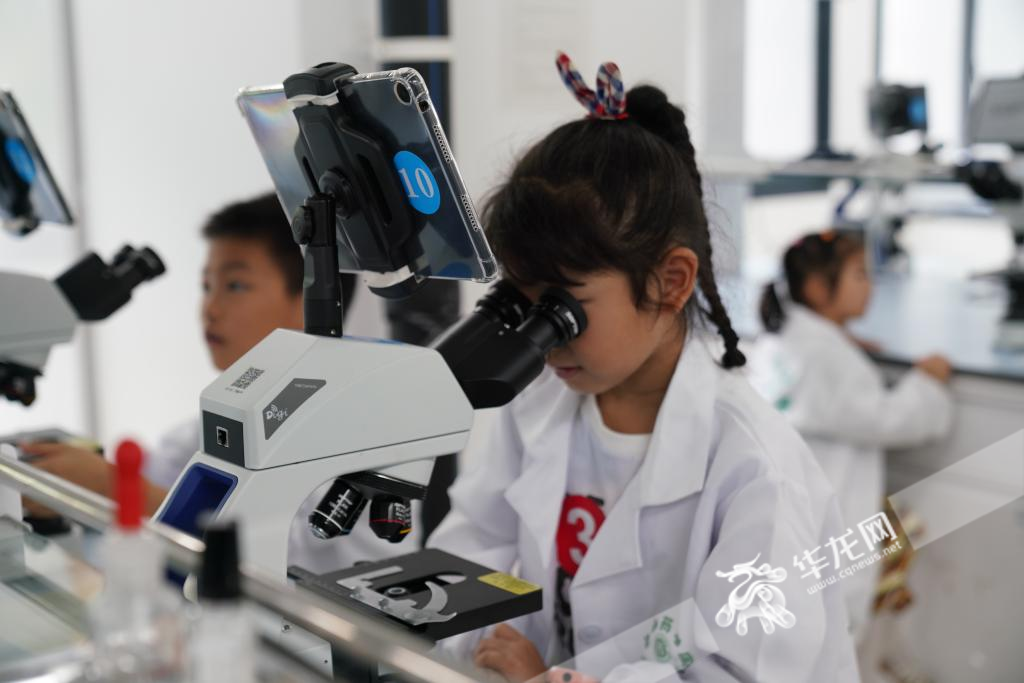 六一节当天在betway88西汉姆联药学院，小朋友通过显微镜探索叶片奥秘。 华龙网记者 刘钊 摄