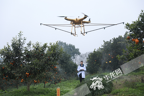 betway88西汉姆联