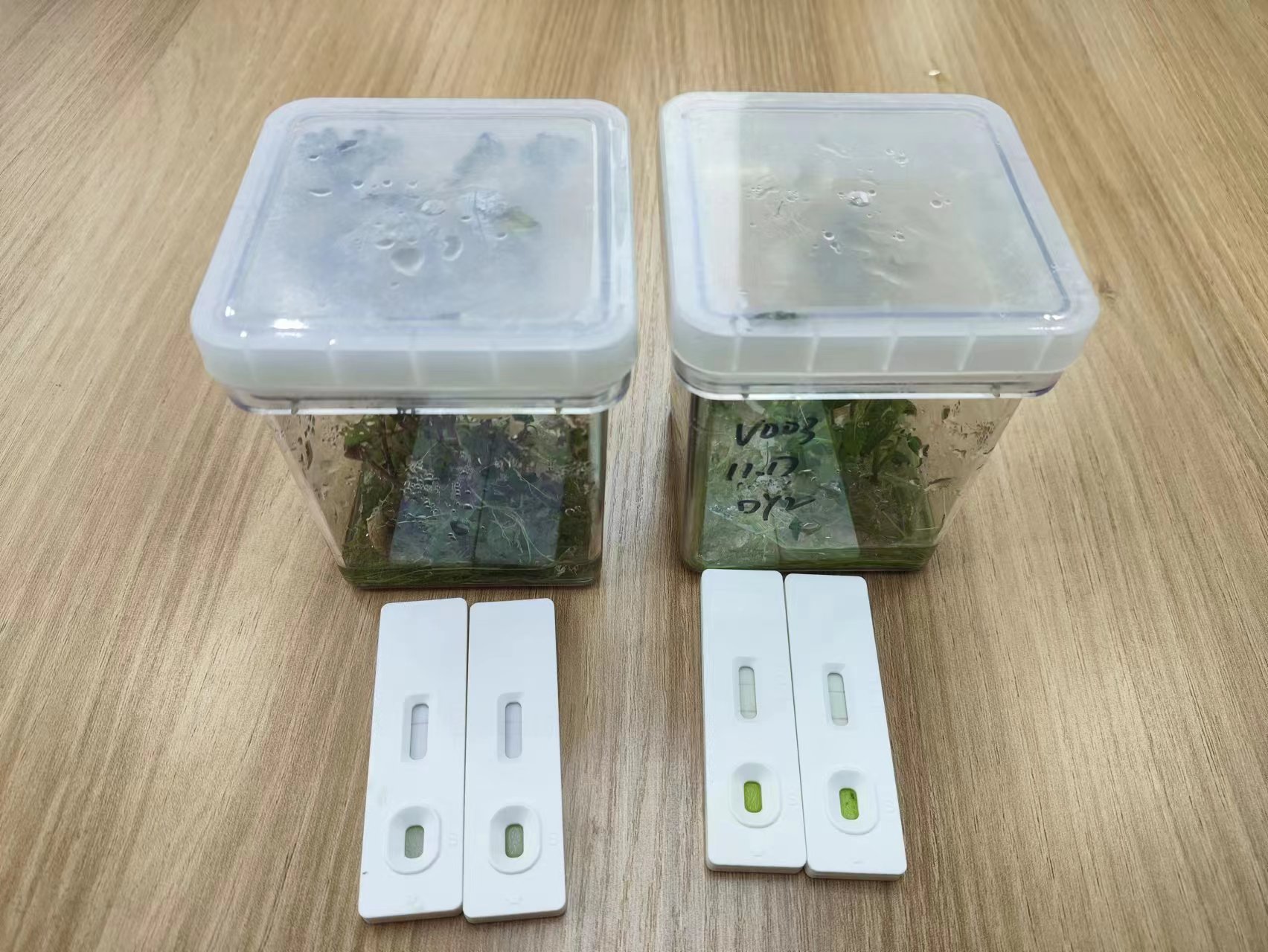 betway88西汉姆联