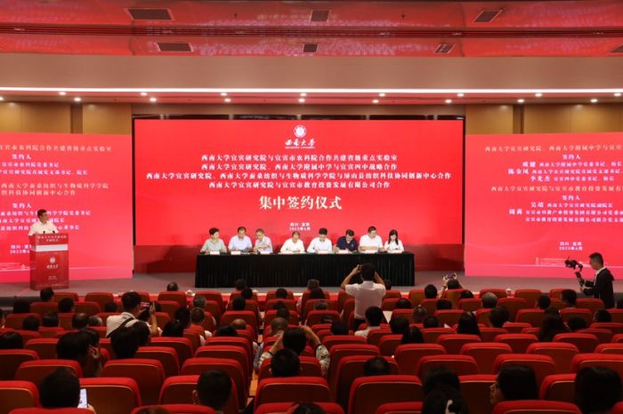 betway88西汉姆联