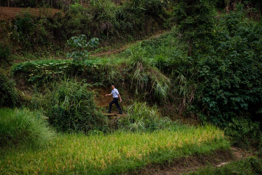 betway88西汉姆联