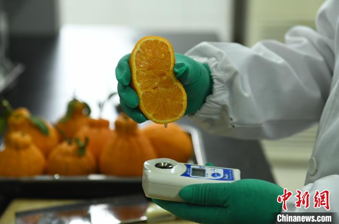 betway88西汉姆联