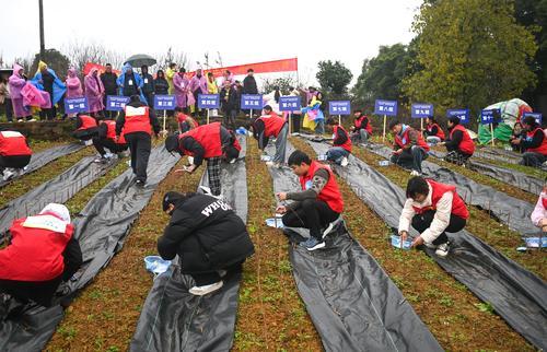 betway88西汉姆联