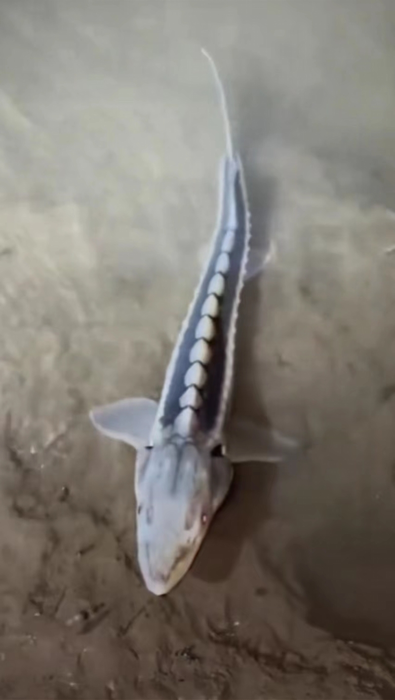 微信图片_20220930002751.jpg betway88西汉姆联