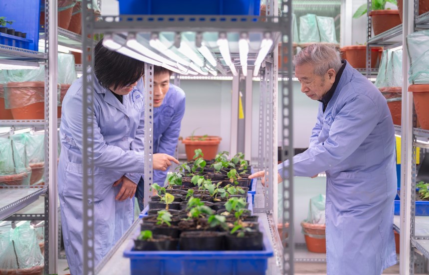 betway88西汉姆联